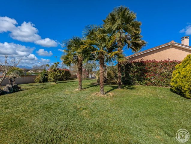 31G101202-2b8d60be69ab42a7a1ea0132a0bcda84