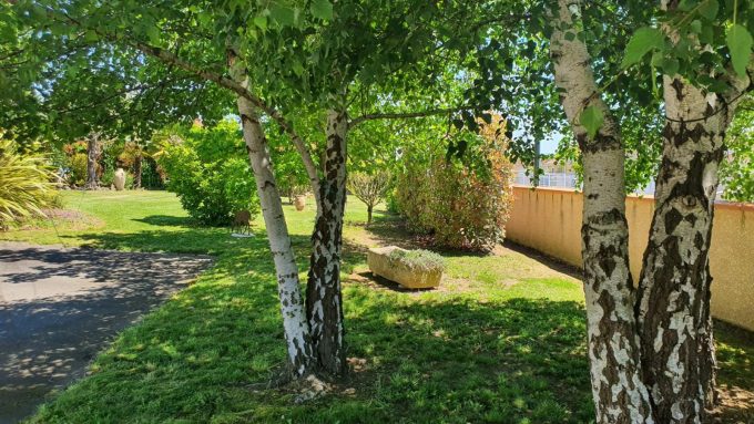 31G101202-44326941f8fc4f42a2c185b10571048f