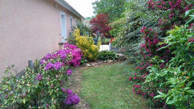 31G101202-62332b5574e1419c9b7a14fd0a47a0a5