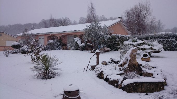 31G101202-63a4122666b042a7916baa35b6f706af