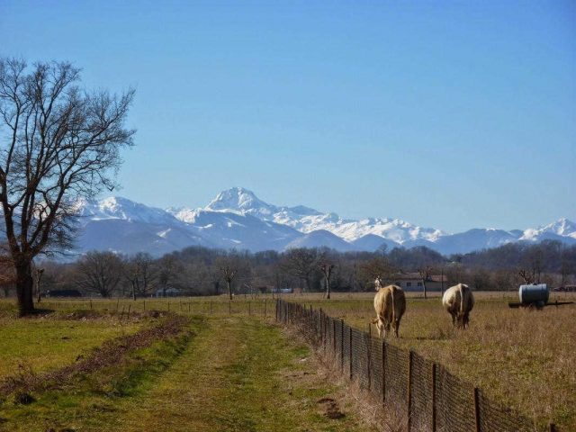 31G101202-78fcd4b030c042b4bb8e17f7b6d84bb4