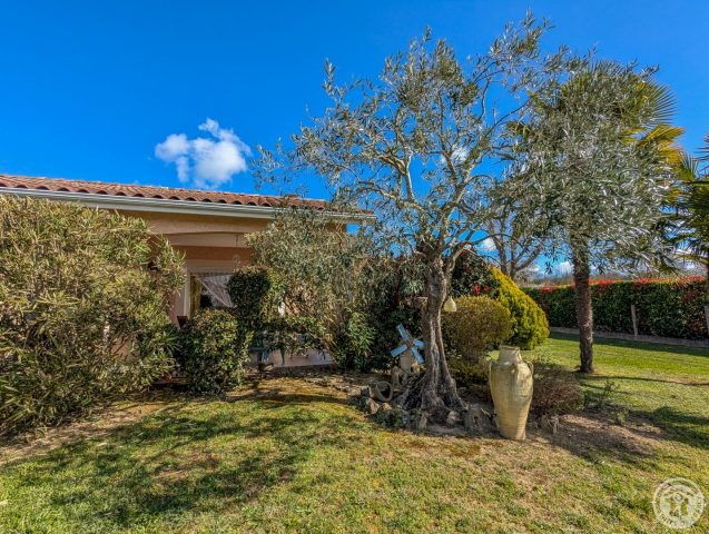 31G101202-80d9b0a298664f75bfe8aa74cd641363