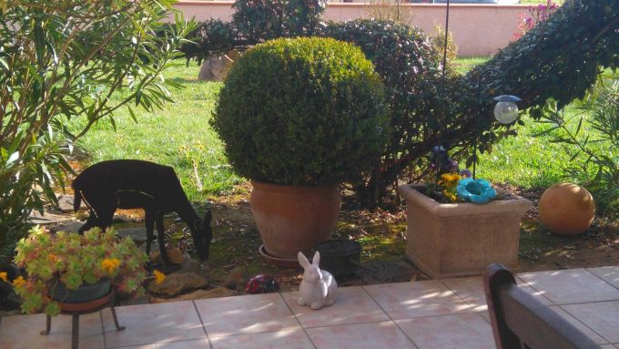 31G101202-9292641b41aa4f5192204bdcd4501df2