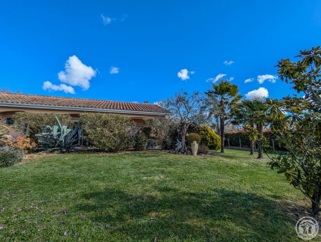 31G101202-a25d339f78d844b6afa36d12c8035bef