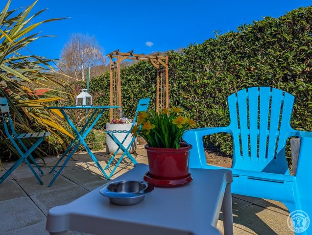 31G101202-c7ed41db894c40feb32fa53f8db98de9