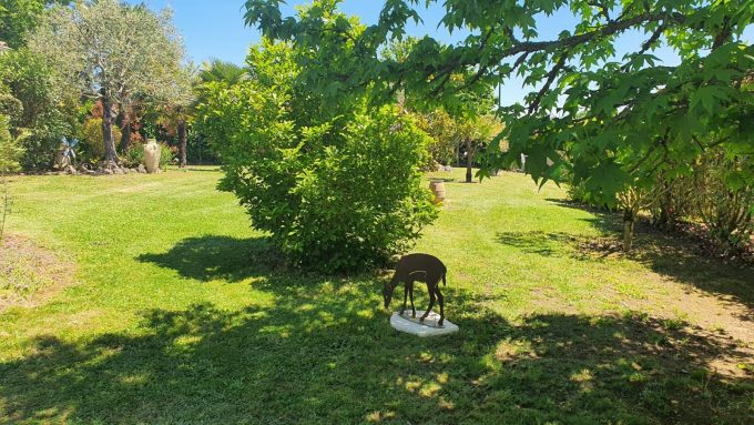 31G101202-f81e5022af1d43cc9f0c1037d0d604b1