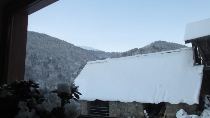 31G101218-daeae5d21d754a33841cf65fcddda5c3