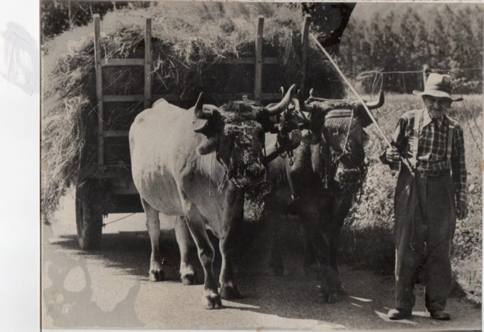 31G101223-0fe35640e3dc4a9f9f0a7d54c0aeb032