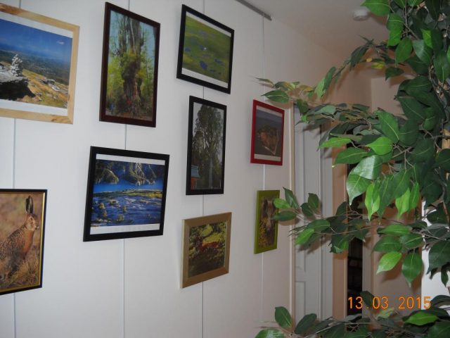 31G101223-3f78a57ff24e419fbb32b69f1fd23638