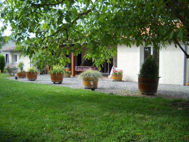 31G101223-668927c2db804540bddded341a51ca7a