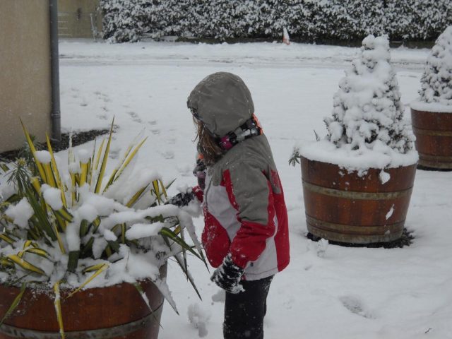 31G101223-7a2a9b2432cb4f34b2acb58edb9ce46b