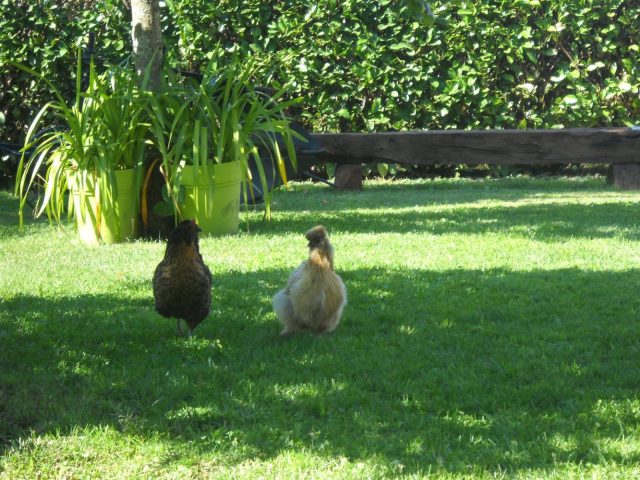 31G101223-87eb7892617748ba89f891b3d527d2ff