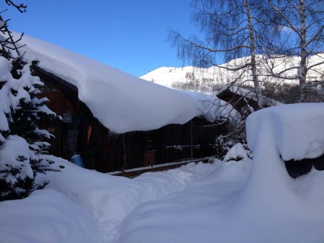 31G101247-88a9c0eb437f4c78ac32bf1b2d025337