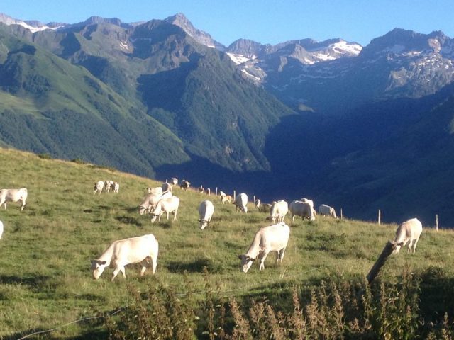 31G101247-fe909a85c59741d885191bbe46268dbe