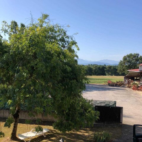 31G101249-4a8c7f0e386946419b444bf7d5682fe9