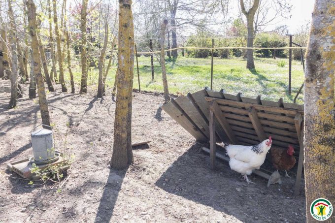 31G101275-2104333b2308408a82bbb49c1869ad8a