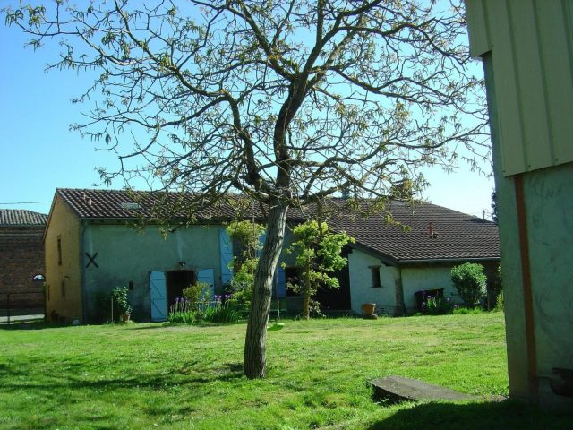 31G101275-9b93702a97cd4487938ef161d3735a85