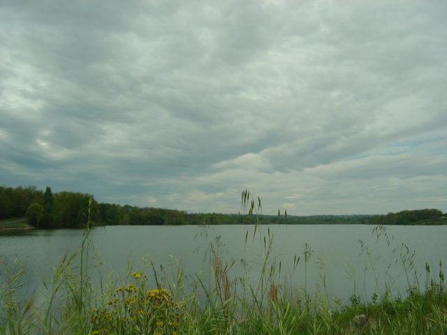 31G101275-afbb5cf161c8485f9b4f090f3d34be04