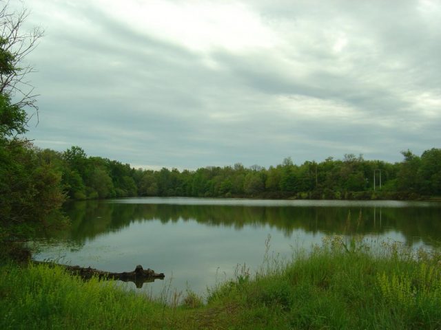 31G101275-b7241c22b3774b559f85fd5ea02d4ab9