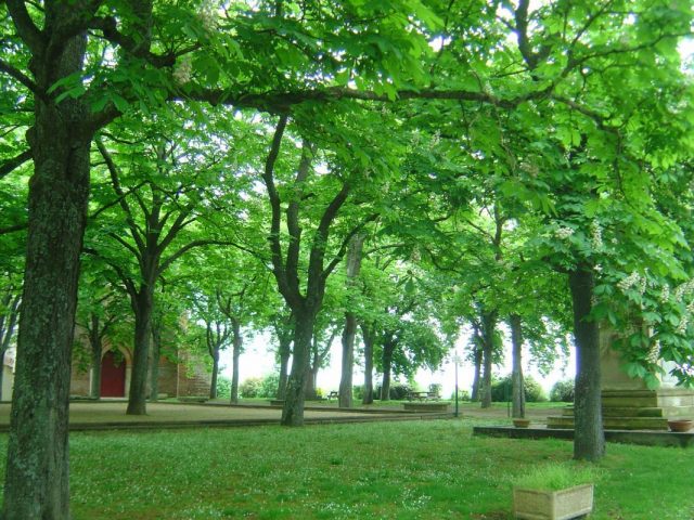 31G101275-ebc4bd1fa9244504ba523691865a24a6