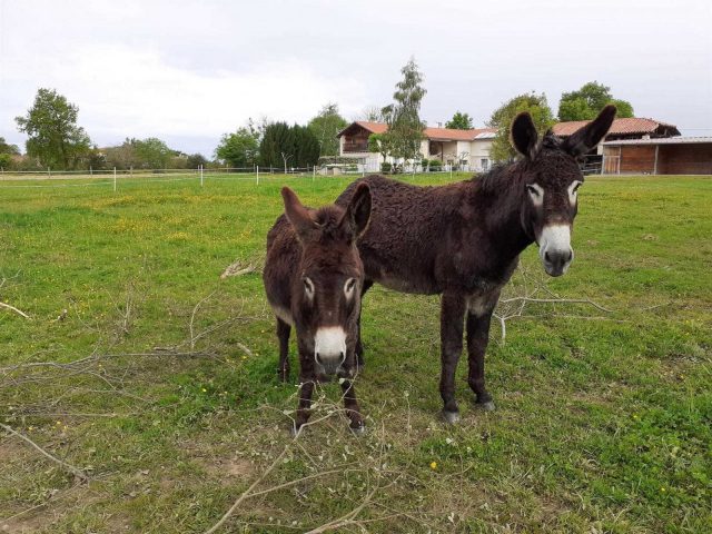 31G101281-527889157b7d48cdace79e3ad5f8e25d