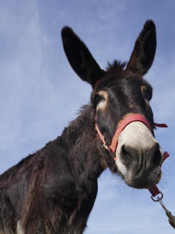 31G101281-c6ffa691ffda4333a77bb8731829a573