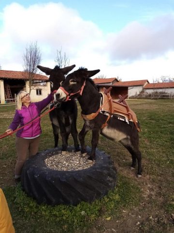 31G101281-e98b5b22a98e481c8ee9c5ab1ad9eb2a