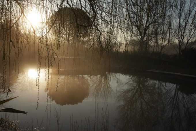 31G101284-9b0482ae108941c08730fcd534215b2f