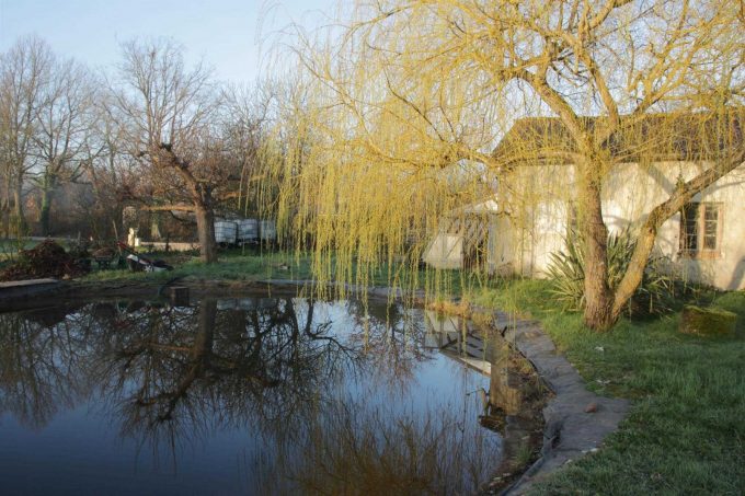 31G101284-a195bd475c3641caacb0cab8a9c2c370