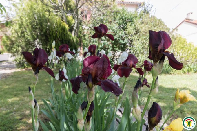 31G101297-e63a0dca39da45cf97123e583e89c611