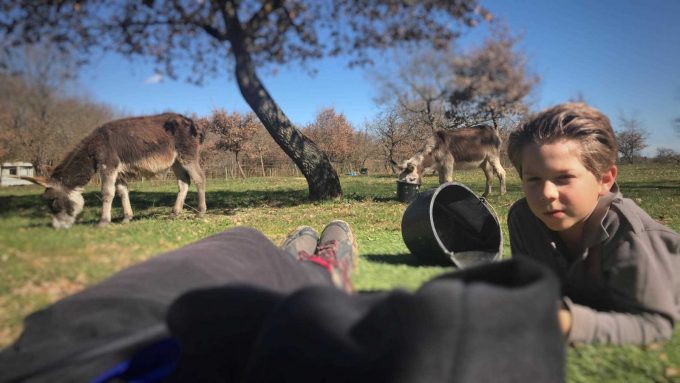 31G101336-055416337df7426d8447b5226a4510a5