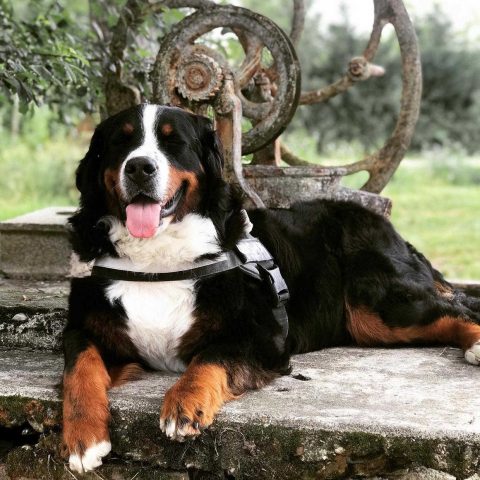 31G101336-656e134a9cd74f9082e5b87ba68653e8