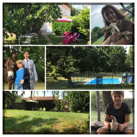 31G101336-af7489637294454dafefc2a552371c88