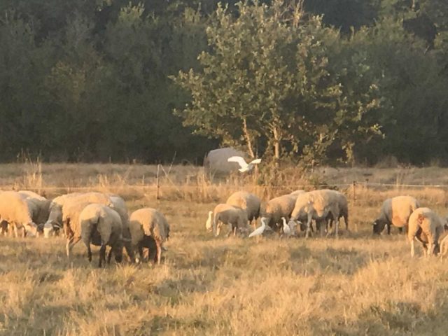 31G101336-cb058b866ab44942a261f180f72fbdc0