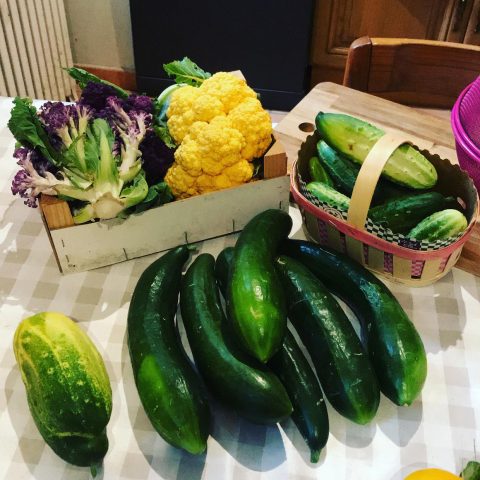 31G101336-e4af0779fb3c435e9ece2d2520a864af