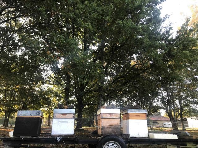 31G101336-ebda29d239f74a1f93b461b49854256a