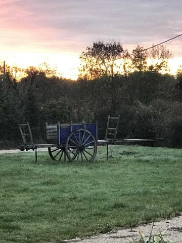 31G101336-f4aaa578aa0b4ee9a4067f150efe3cb8