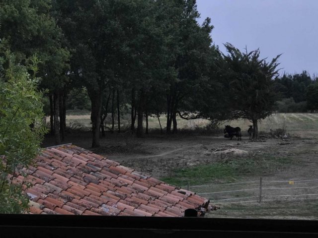 31G101337-55ccc340ac7a4df4a6fea7121b06fc91