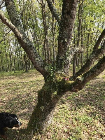 31G101337-742600e421fe4e82921702e860fbea38