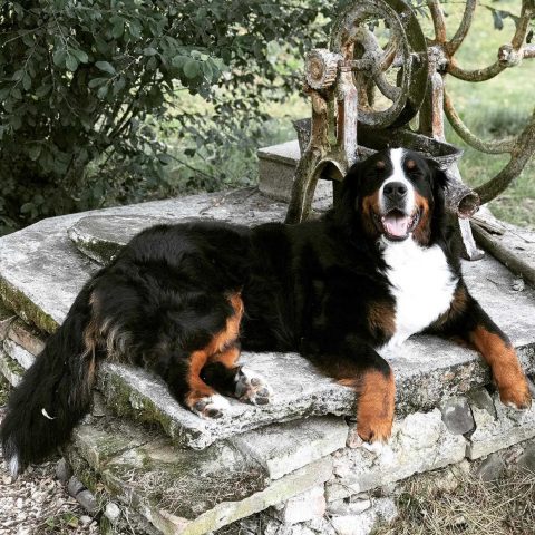 31G101337-76d127b803ee4f9db1a5d1cc787f2f85