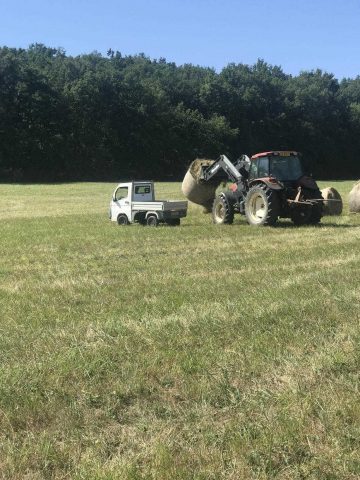 31G101337-8d5a0f3594664fbdacf431b92db1cc21