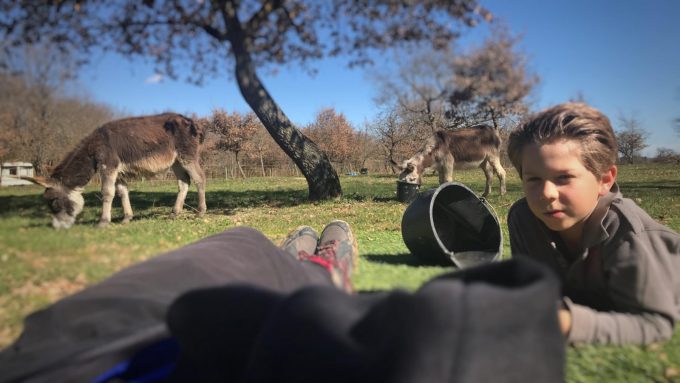 31G101337-8dff8482b12e487e83a62b64daea868a