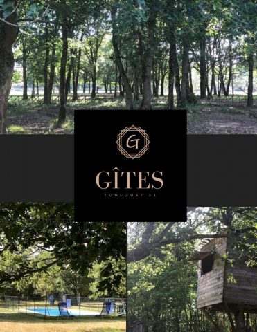 31G101337-8e9ce7df787e4f4fb9a46c75d6b2b50c