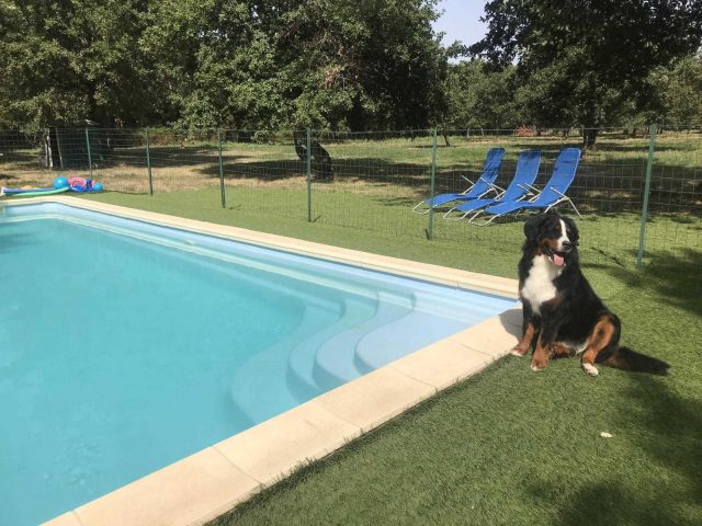 31G101337-8fb6178ef6d94c2e9a3e8ce64d03796e