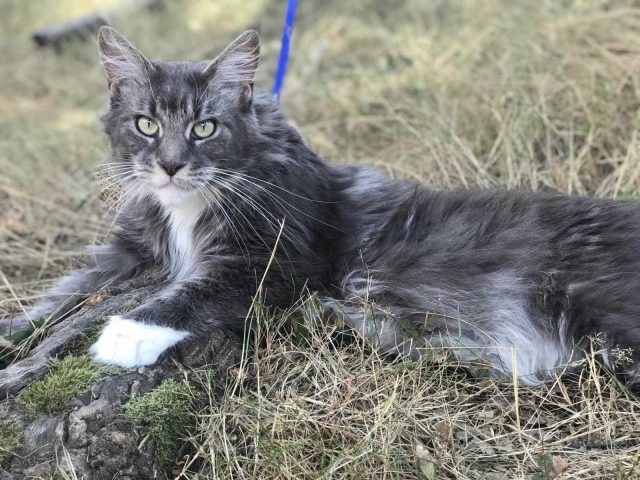 31G101337-958c6fa25c674a9d8ad55a7cba1a91d0