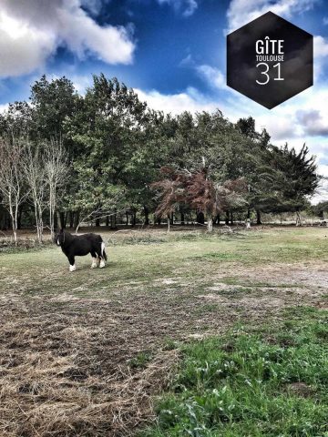 31G101337-9a8fd7d572094cbb9984d1975f9d3912