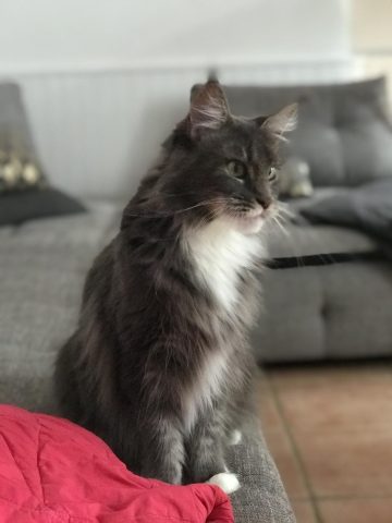 31G101337-9d0de15c27bd49bd9b7efc4fb363147b