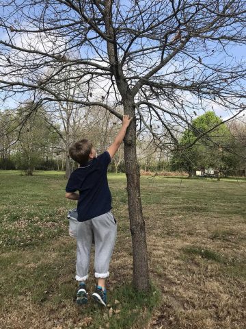 31G101337-d5fa1930d0874ef396ecd6f1c8b58c91