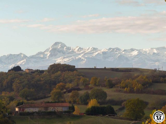 31G101342-14de1a5d74af4e889038a968794aa097