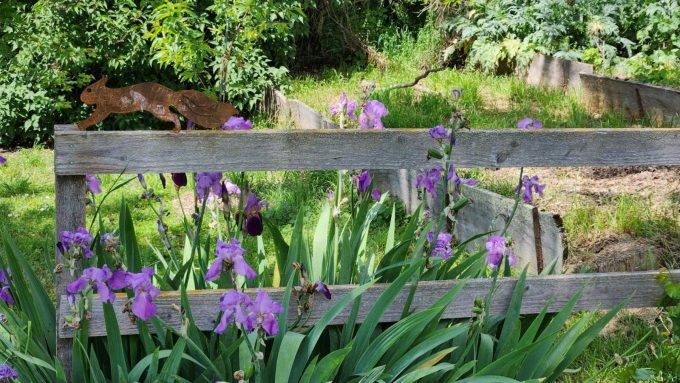 31G101342-23aca3b62b5345dbbb2303860f5109f0